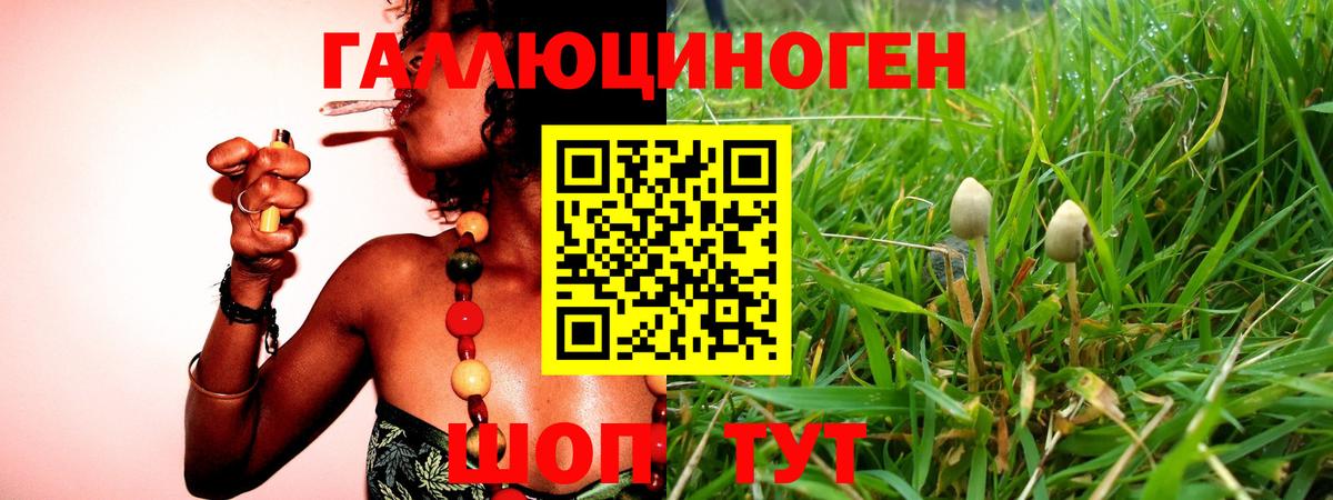 Кострома  Псилоцибиновые грибы прущие грибы  Вход с VPN 