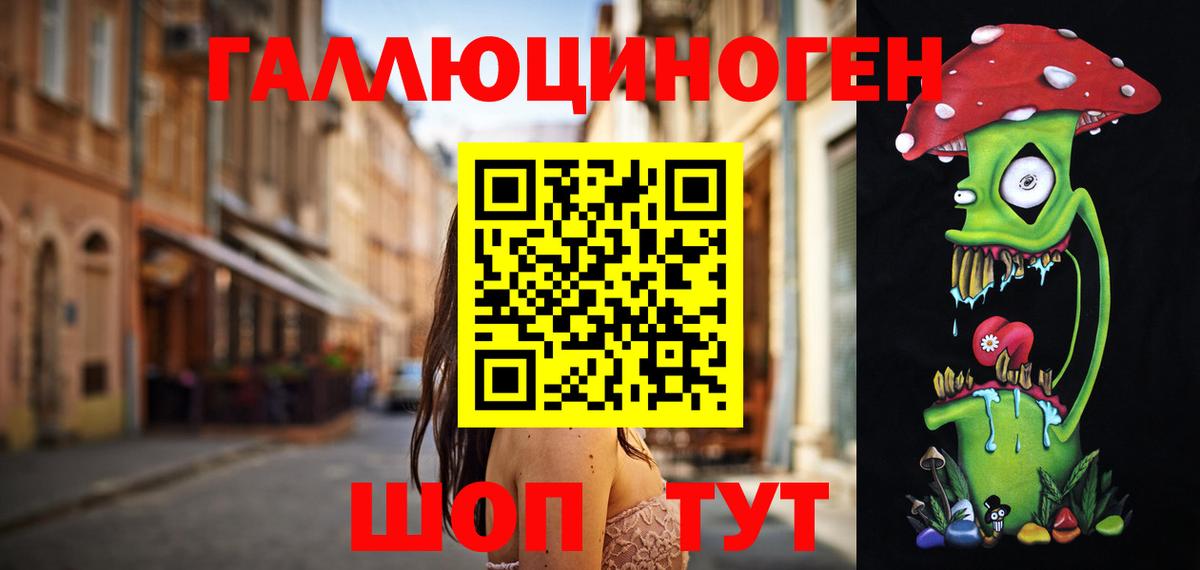 Псилоцибиновые грибы Psilocybine cubensis Кострома